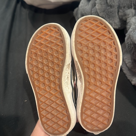 Dinosaur Vans - Picture 4 of 4